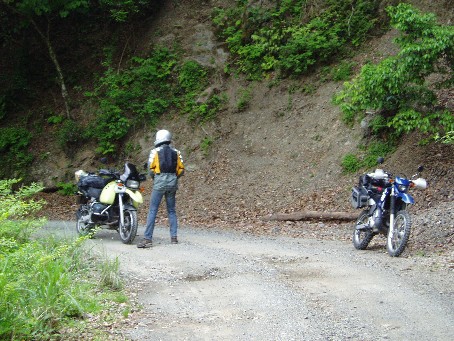 c0041068_730293.jpg