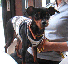 c0012571_17222392.gif