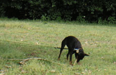 c0012571_1733523.gif