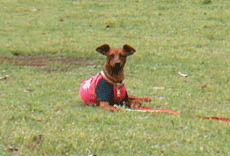c0012571_1735458.gif