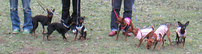 c0012571_17444029.jpg