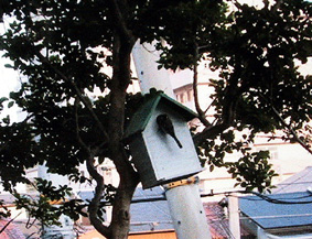 d0043786_12345472.jpg