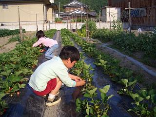 c0026594_21574299.jpg