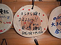 b0003000_14335881.jpg