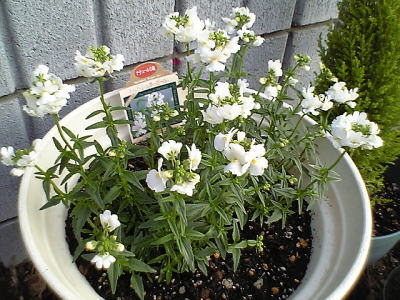 d0026200_23193141.jpg
