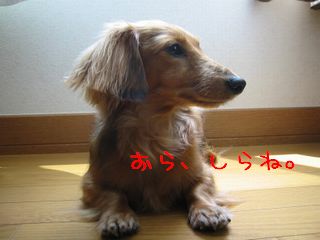 b0044804_12215687.jpg