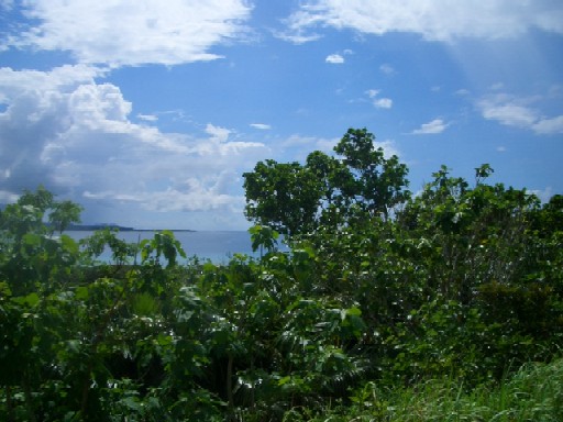 c0000816_1214561.jpg