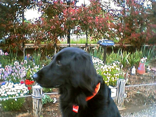 c0012120_121360.jpg