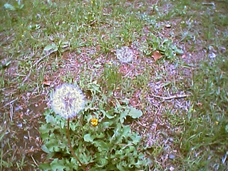 c0012120_15824.jpg