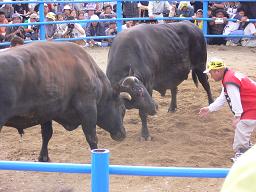 d0029142_18422752.jpg