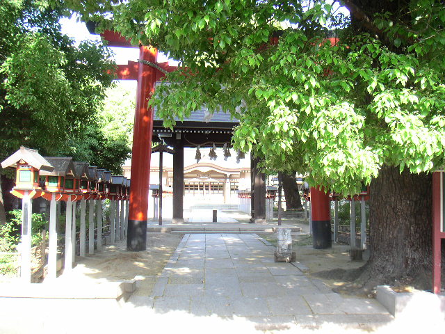 b0060646_213783.jpg