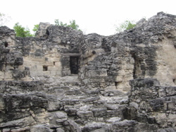 c0035559_11294.jpg