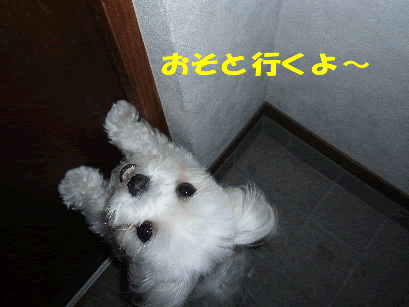 b0060071_2115512.gif