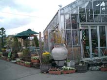 b0060803_1435252.jpg