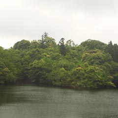 c0036617_15465234.jpg