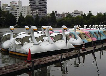 a0013134_140452.jpg