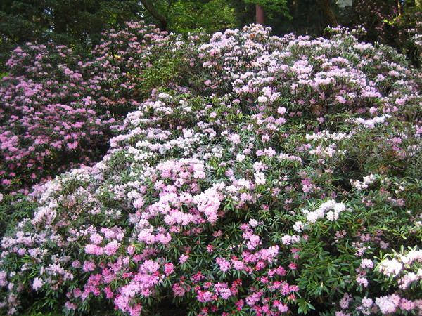 c0014035_23451569.jpg