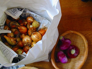 b0002142_16454084.jpg