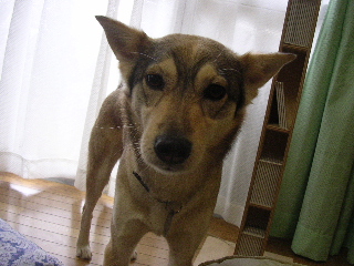 c0065643_20591427.jpg