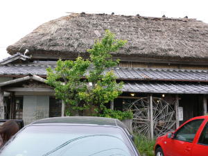 d0013645_141383.jpg