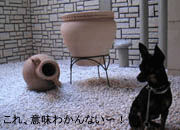 c0012571_1292717.gif
