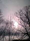 b0059975_21354762.jpg