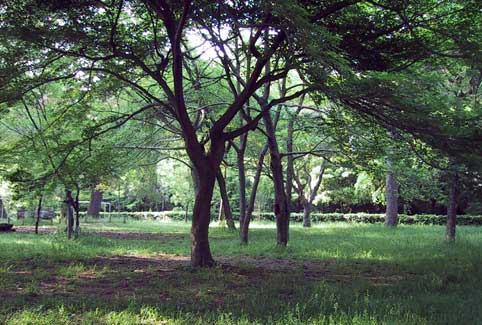 b0057679_1017152.jpg