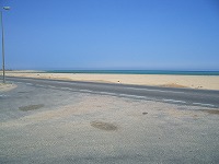 a0003089_21225335.jpg