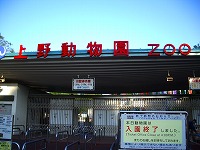 a0003089_2483413.jpg