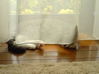 c0035001_1346257.jpg