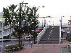 a0024005_2082861.jpg