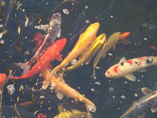 c0019617_1335064.jpg