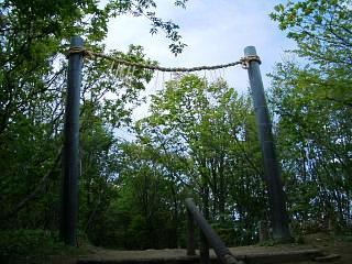 c0019617_1535847.jpg