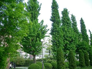 c0005619_0595954.jpg