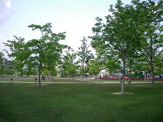 c0005619_1012100.jpg