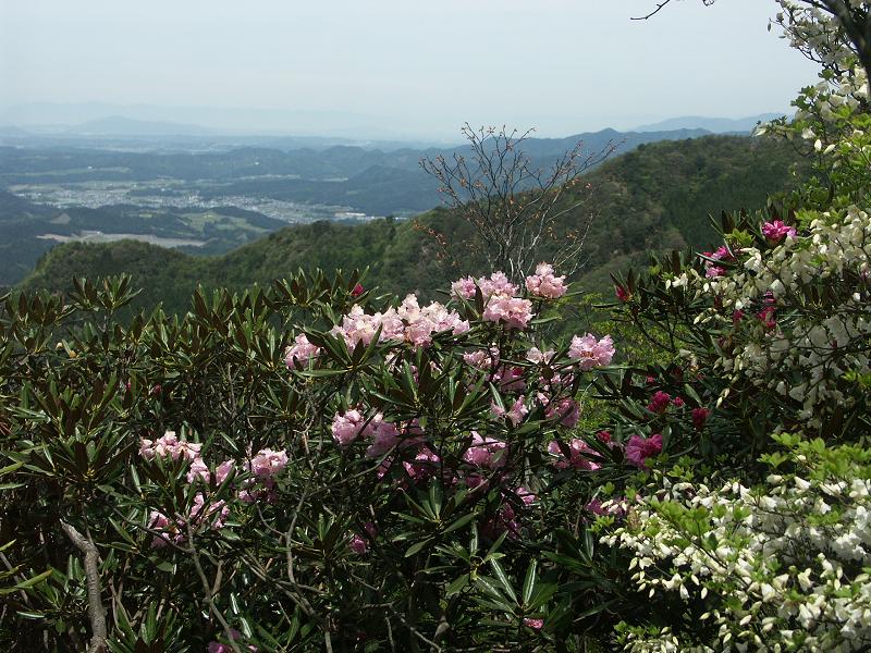 b0039226_22594447.jpg