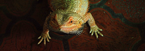 c0066827_15591370.jpg