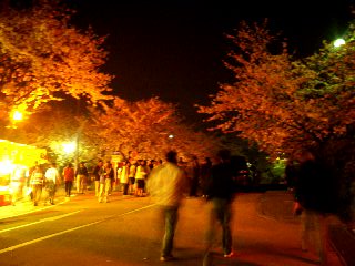 c0040529_1432048.jpg