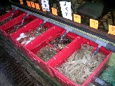 c0008439_2044461.jpg