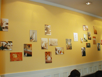 c0048042_17465349.jpg