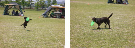 d0013645_1104890.jpg