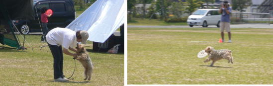 d0013645_119557.jpg