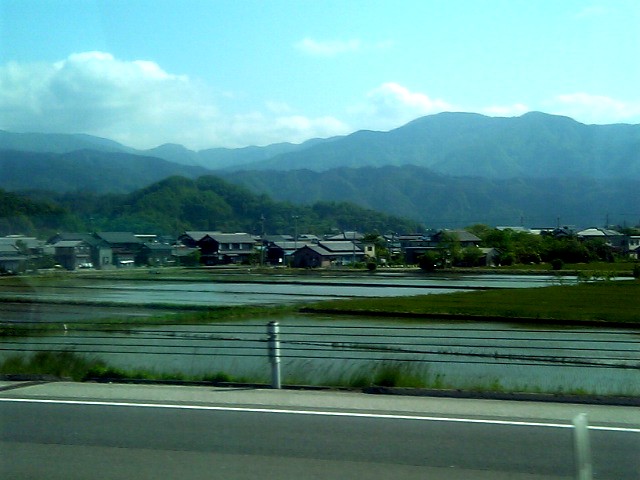 c0058187_2552992.jpg