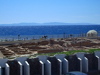 a0003089_21492362.jpg