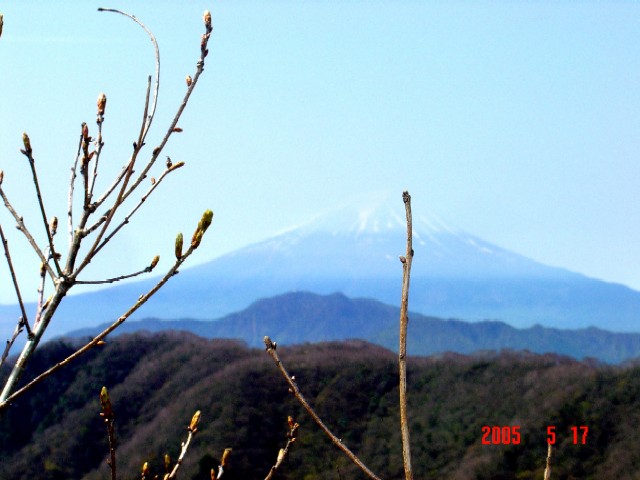 a0005691_19491862.jpg