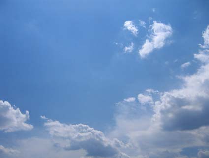 c0004193_18425654.jpg