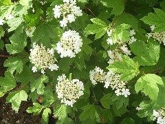 c0032799_1571872.jpg