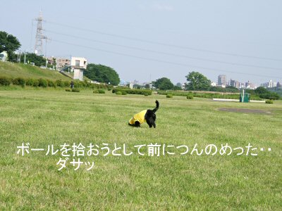 c0050400_0491644.jpg
