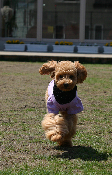 a0016311_11252328.jpg
