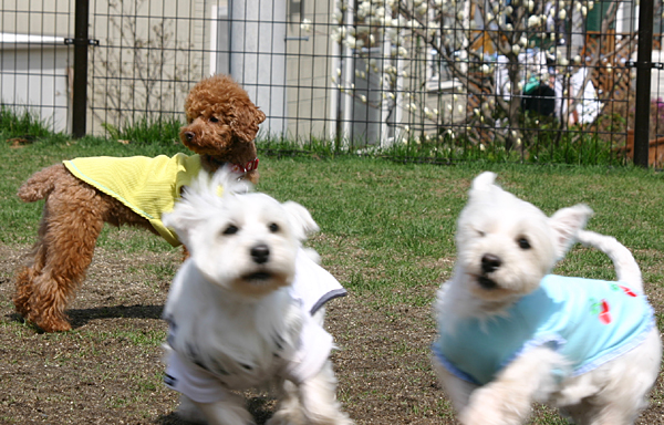 a0016311_1246949.jpg